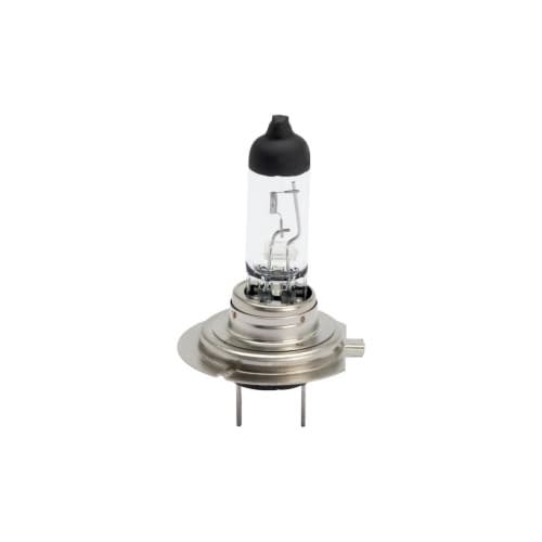 Bec H7 24V  70W ART  Premium