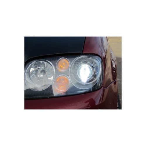 Ornament pentru lupe MINI Cod:Z260 2