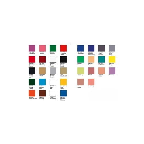 Spray Vopsea Argintiu Profesional Champion 400ml Cod: RAL9006 2