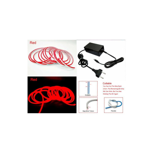 Neon decor auto 5m 12V / 220 V  rosu MIV